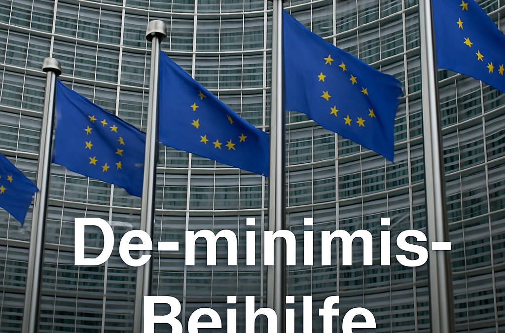 Neue De-minimis-Beihilfe 2024: Höhere Grenzen & mehr Spielraum