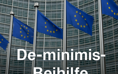 Neue De-minimis-Beihilfe 2024: Höhere Grenzen & mehr Spielraum